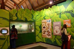 ロンドン自然史博物館節足動物展示室