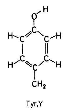 amino aicd structures
