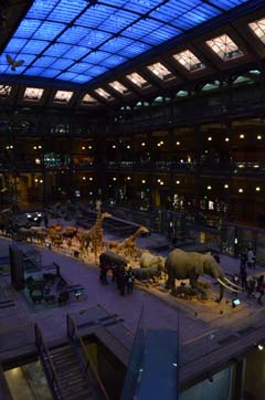パリ自然史博物館・ 進化大展示館哺乳類の行進