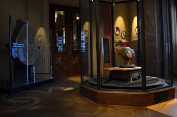 パリ自然史博物館・ 進化大展示館ドードーの模型