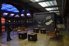 パリ自然史博物館・ 進化大展示館休憩スペース