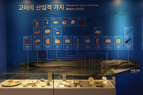 鯨の利用と原料の部位