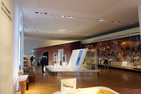 模型と再現室内