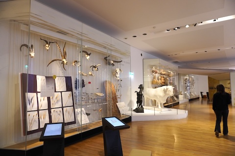 植物の栽培と動物の家畜化