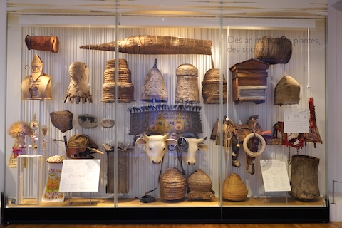 動物、植物、社会