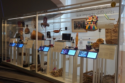 様々な影響をもたらす生活様式